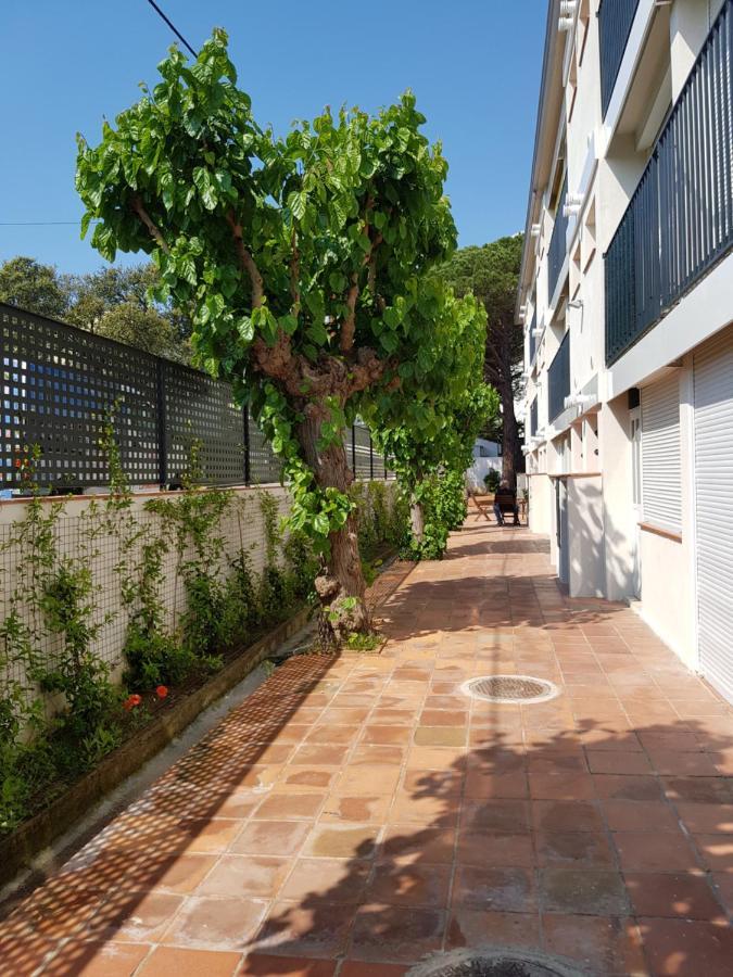 Apt Con Piscina En Calella De Palafrugell, Parking Gratuito Dış mekan fotoğraf